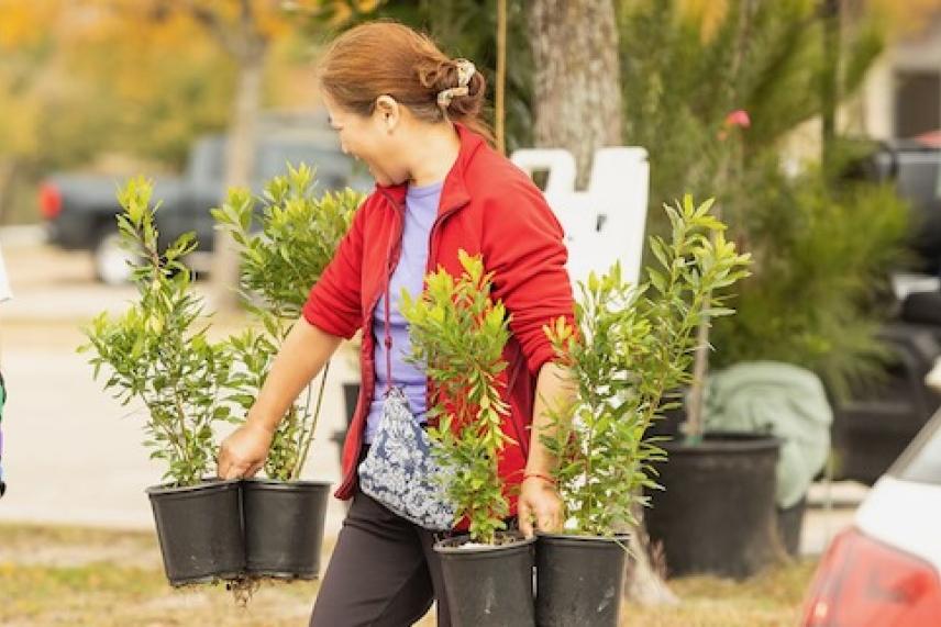 Woman carrying potted plants outdoors.
