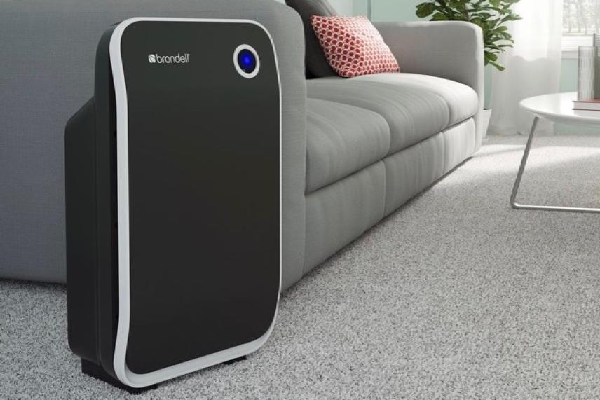 Black air purifier in living room, near a gray sofa on a carpeted floor.