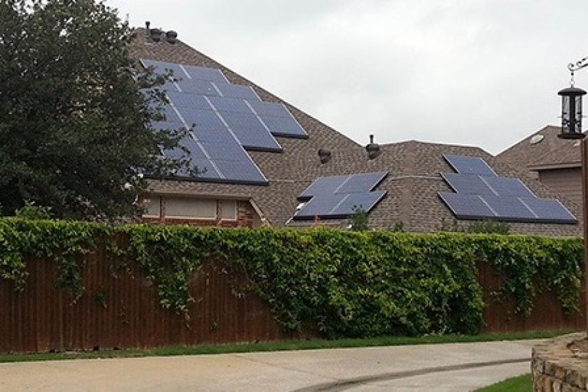 Solar panels on residential rooftops behind a vine-covered fence.