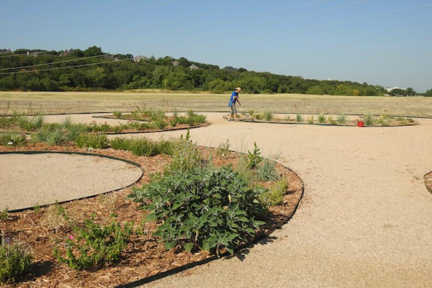 Park with curved paths and lush green plants under a clear blue sky.