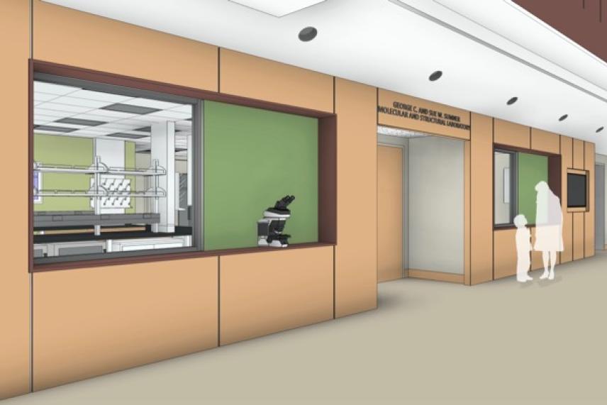 Corridor with brown panels, windows, and people outside a glass-walled room.