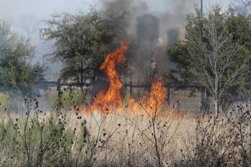 Grass fire burning with smoke, surrounded by trees.