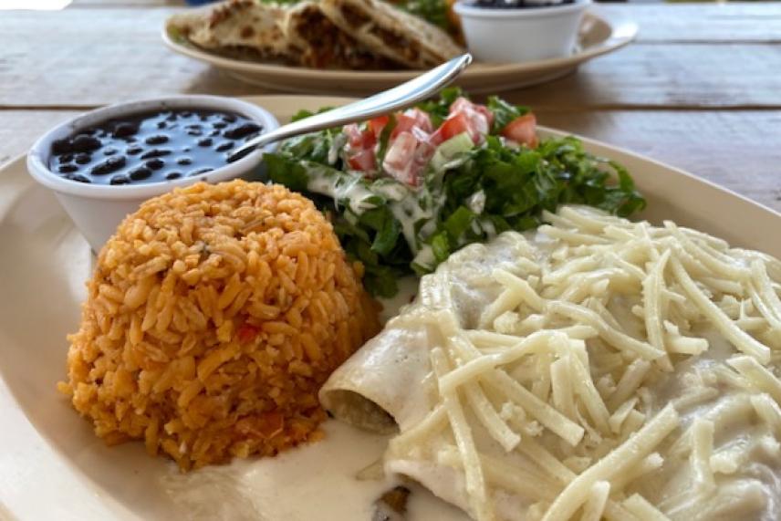 Mexican dish with rice, enchiladas, beans, and salad on a white plate.