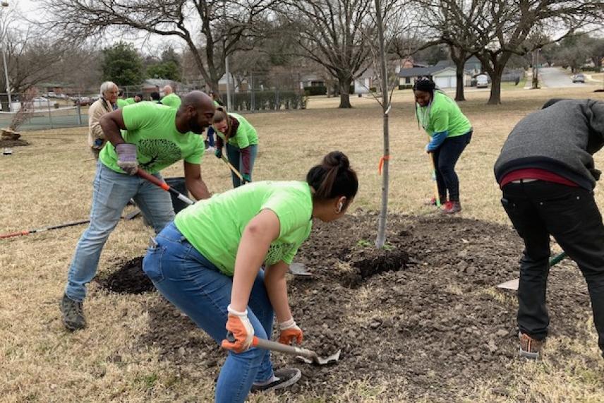 Volunteers in green shirts planting a tree in a park.