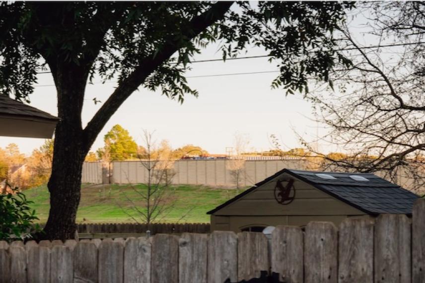 Suburban backyard at sunset with trees and wooden fence.