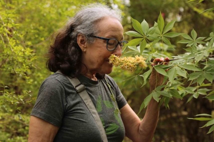 Elderly woman smelling a flowering plant in a lush garden.