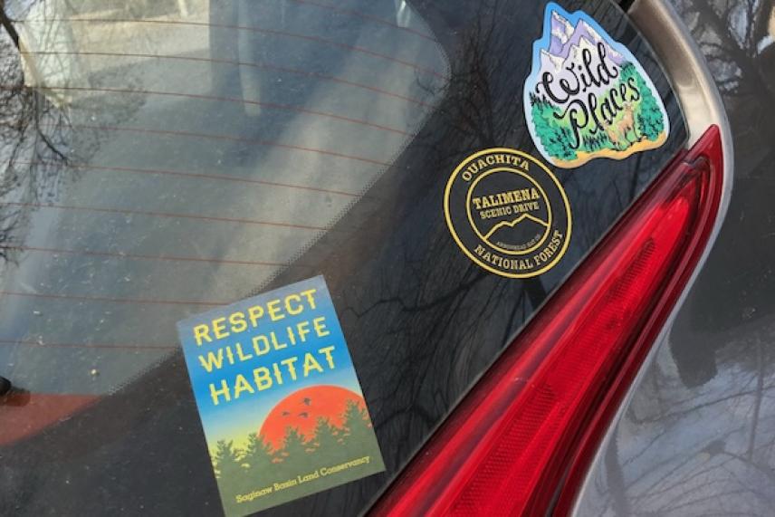 Car window with nature-themed stickers.