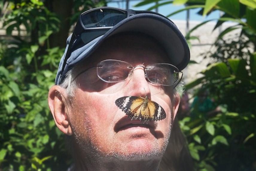 Man with a butterfly on his nose wearing sunglasses and a cap.