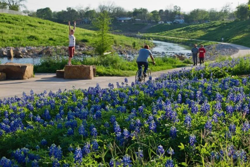 Cyclist and people in park by river, surrounded by blue wildflowers.