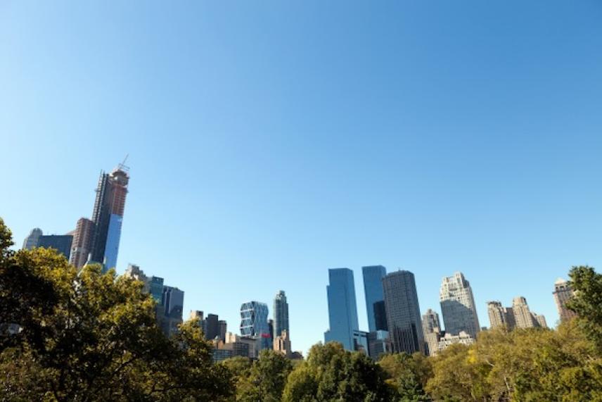 Skyline with skyscrapers and trees under a clear blue sky.