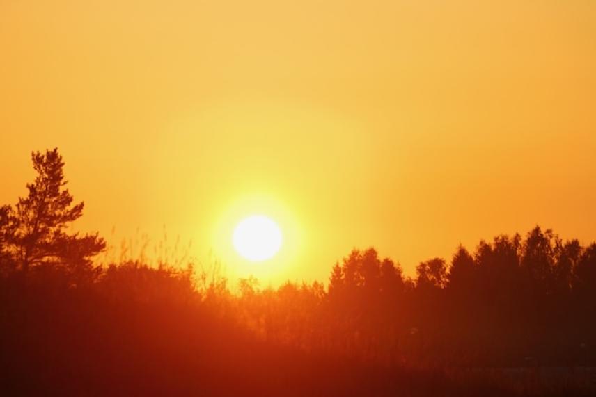 Sunset over a silhouette of trees with an orange sky.