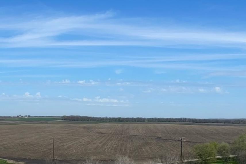 Vast open field under a clear blue sky with wispy clouds.