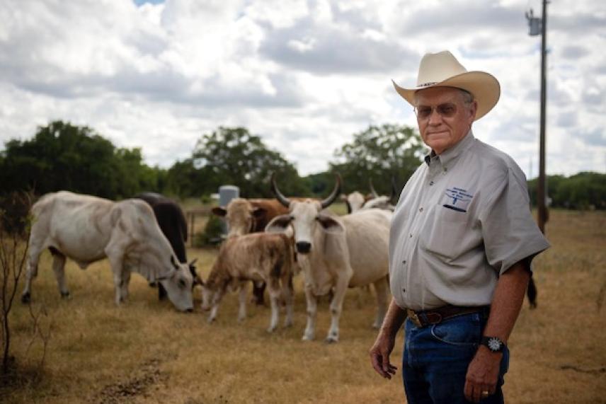 Man in cowboy hat stands in field with cattle, under a cloudy sky.