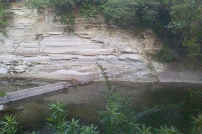 Rocky stream with green foliage, weathered cliff, and a small wooden bridge.