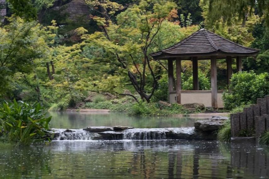 Pavilion beside a tranquil pond with waterfall and lush greenery.