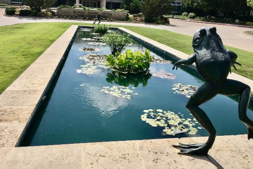 Reflective pond with lily pads and large frog sculpture in a garden setting.