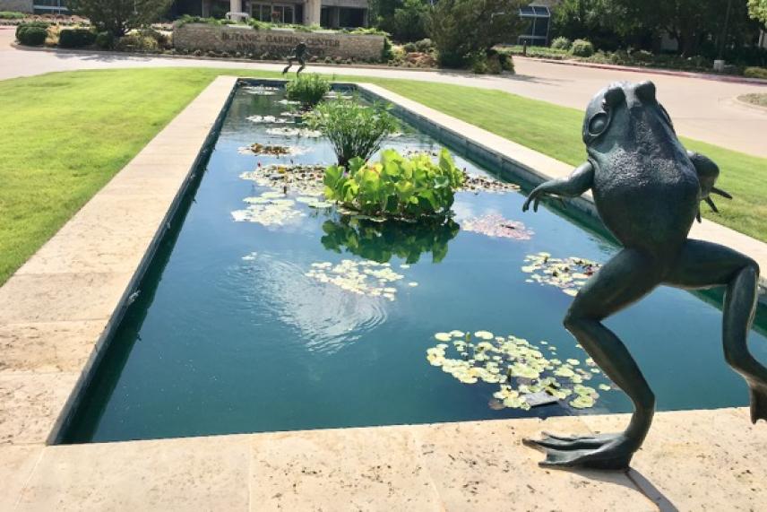 Long pond with lily pads and large frog sculpture beside it.