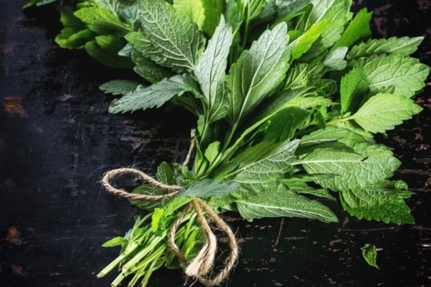 Fresh herbs tied with twine on dark surface.