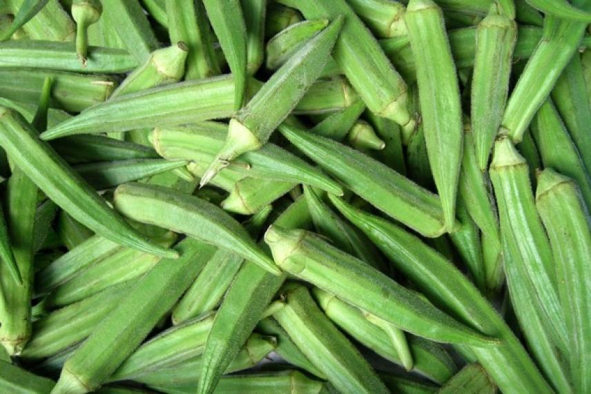 Fresh green okra pods piled together.