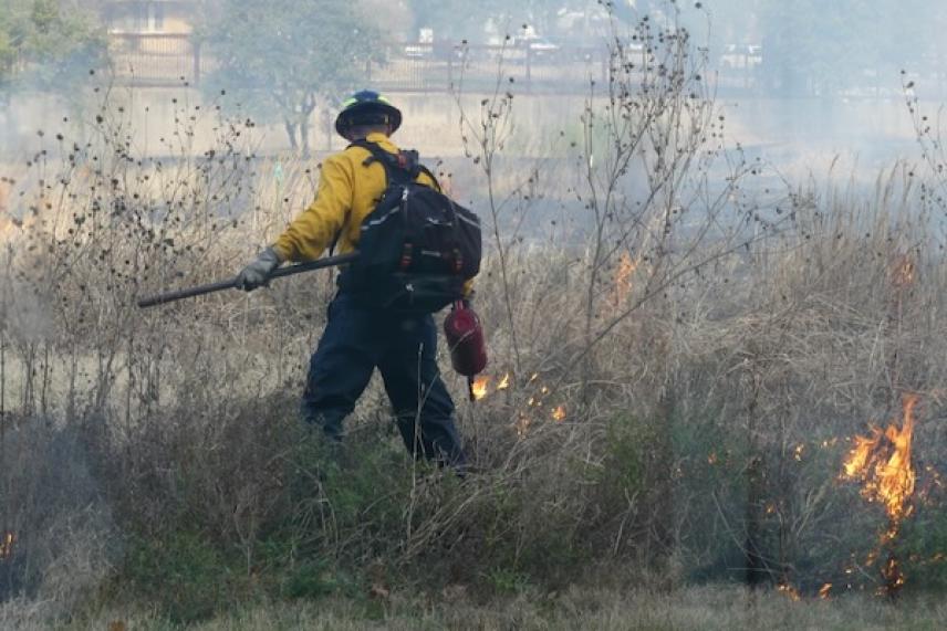 Firefighter in yellow gear controlling a grass fire.