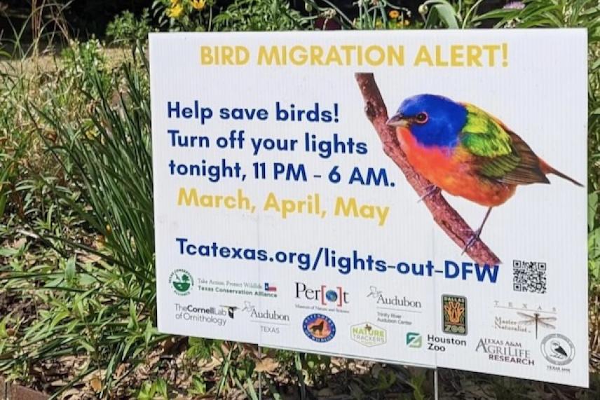 Sign with a colorful bird and text about bird migration alert and light reduction times.