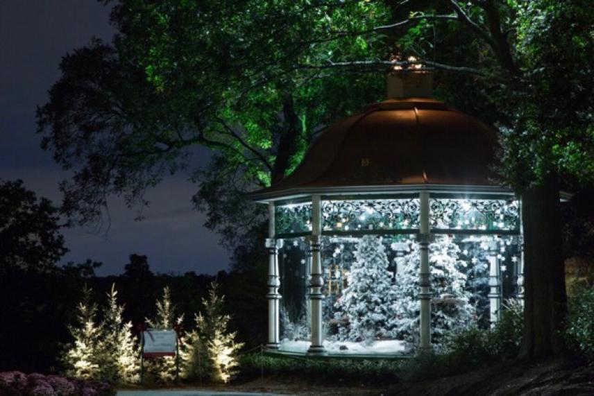 A lit gazebo in a garden at night, surrounded by trees and illuminated shrubs.