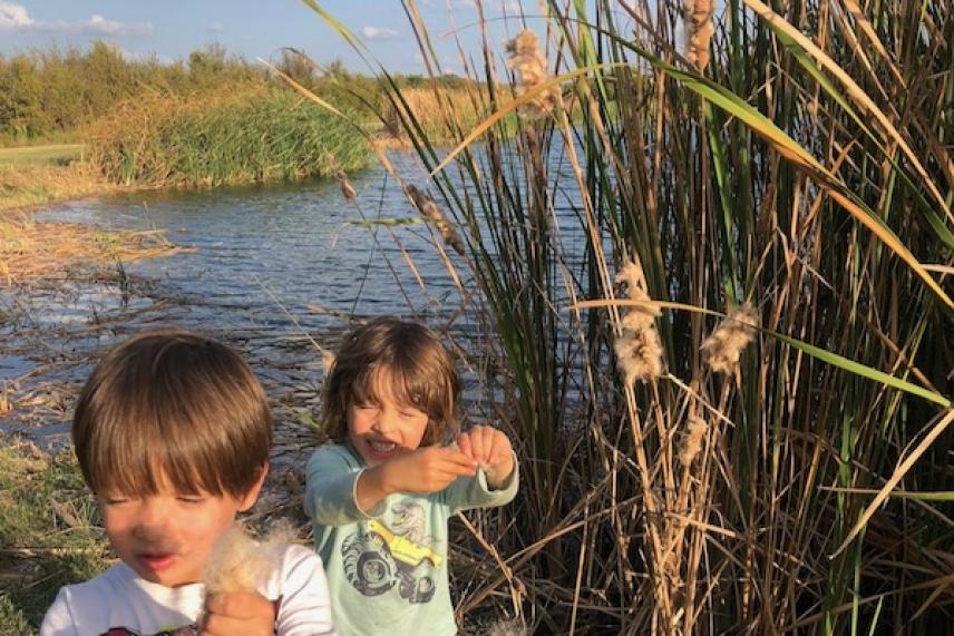 Two children playing by a lakeside with tall grass under a sunny sky.