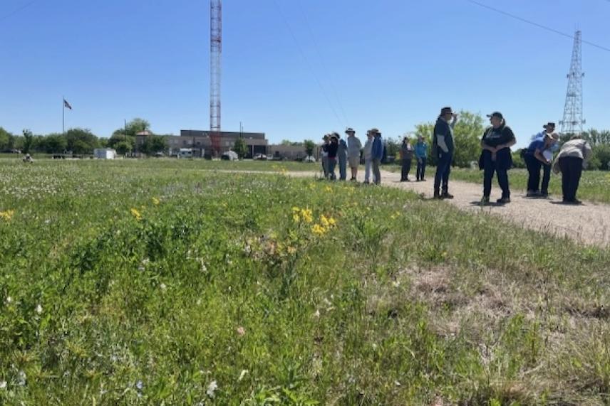 A group walks along a grassy field under a clear blue sky.