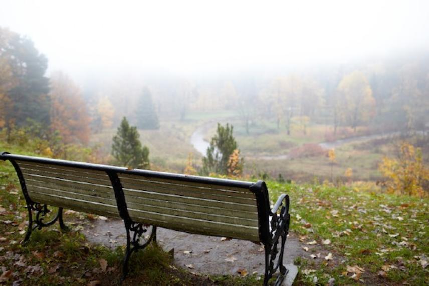Bench overlooking a foggy autumn landscape with trees and a winding path.