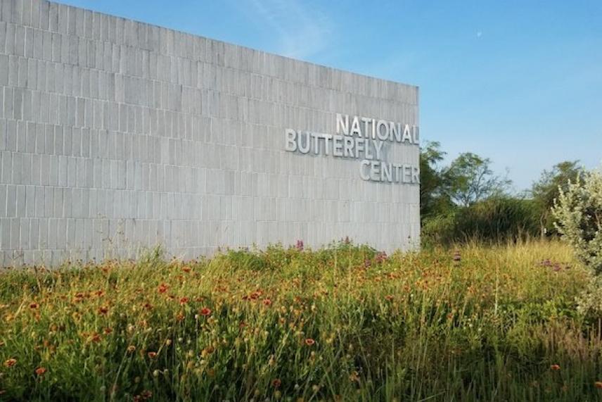 National Butterfly Center building with wildflowers in front.