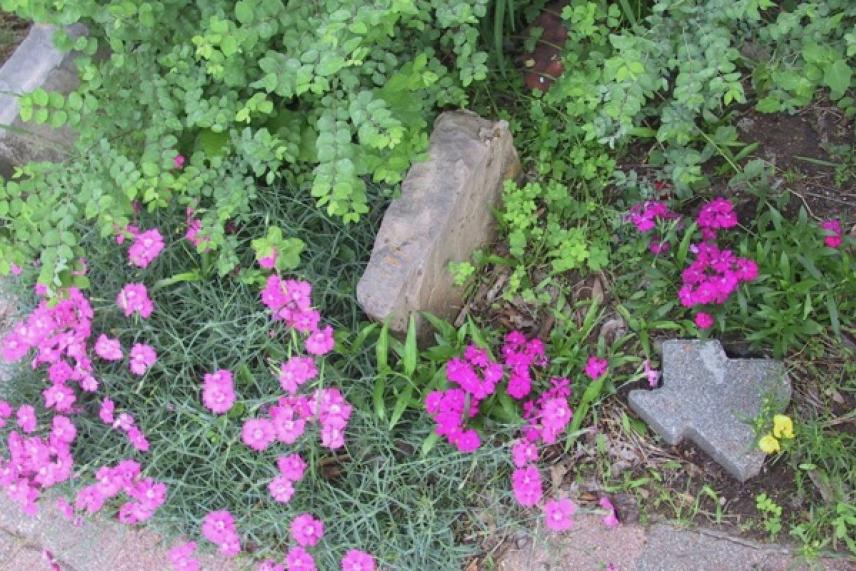 Pink flowers and green foliage surround a stone and a star-shaped decoration.