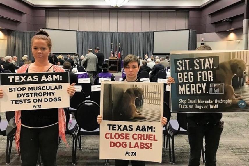 Three people holding protest signs against dog testing in a conference room.