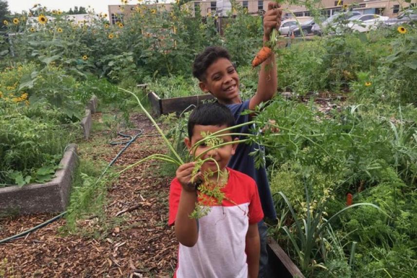 Two children happily holding freshly picked carrots in a garden.