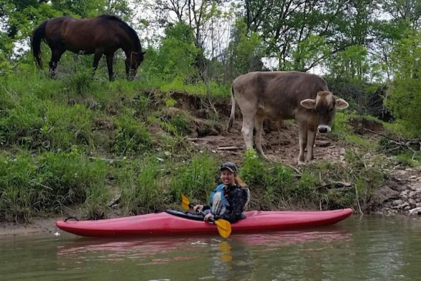Kayaker paddles beside a cow and horse on a grassy riverbank.