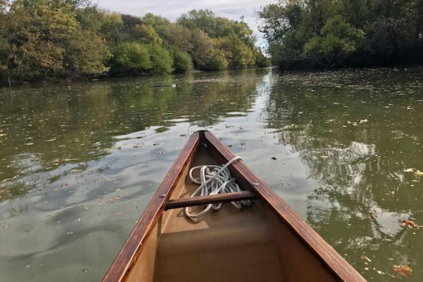 Canoe on a calm river surrounded by trees.