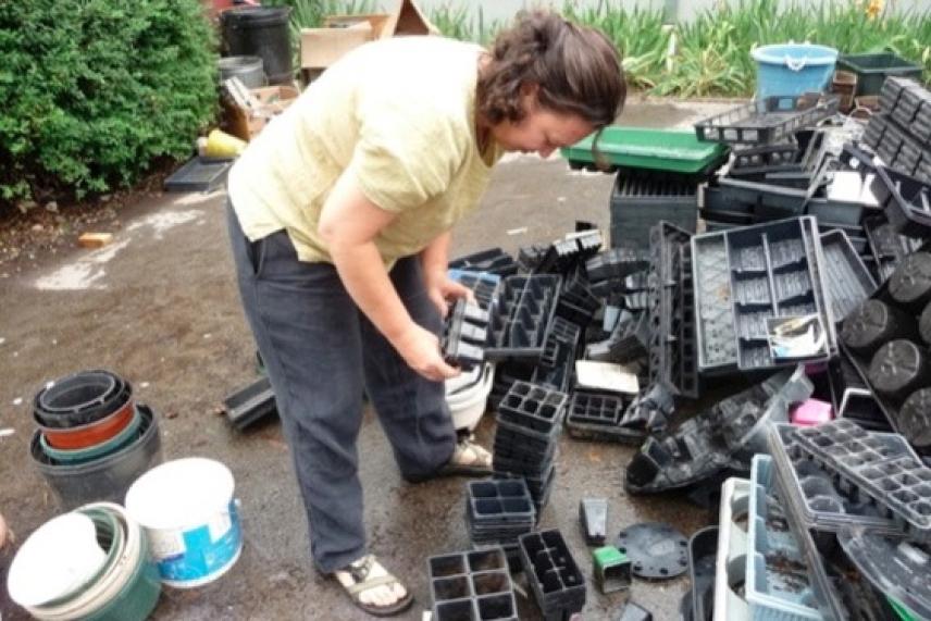 Sorting plastic plant trays outdoors.