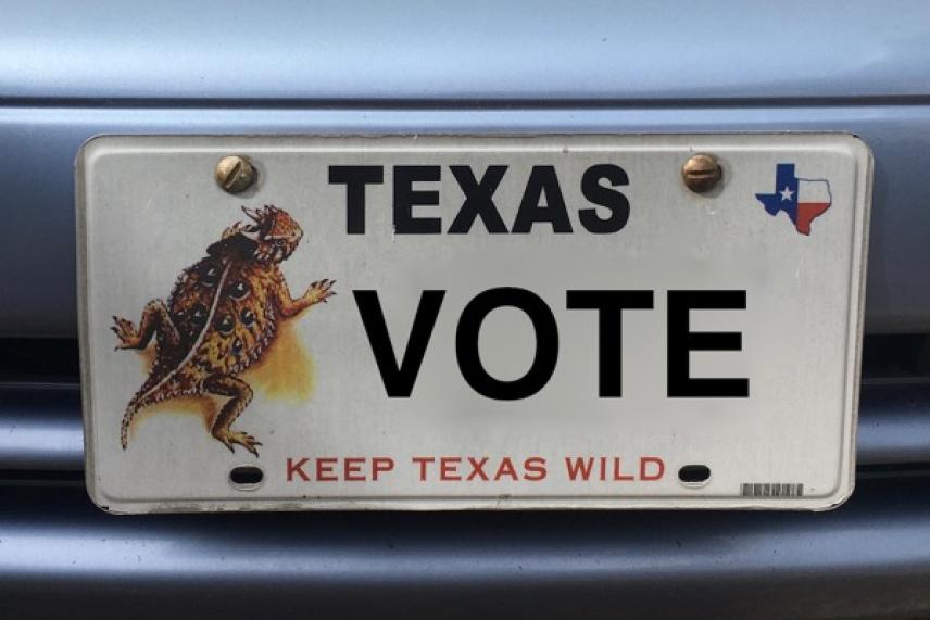 Texas license plate with "VOTE" and horned lizard graphic.
