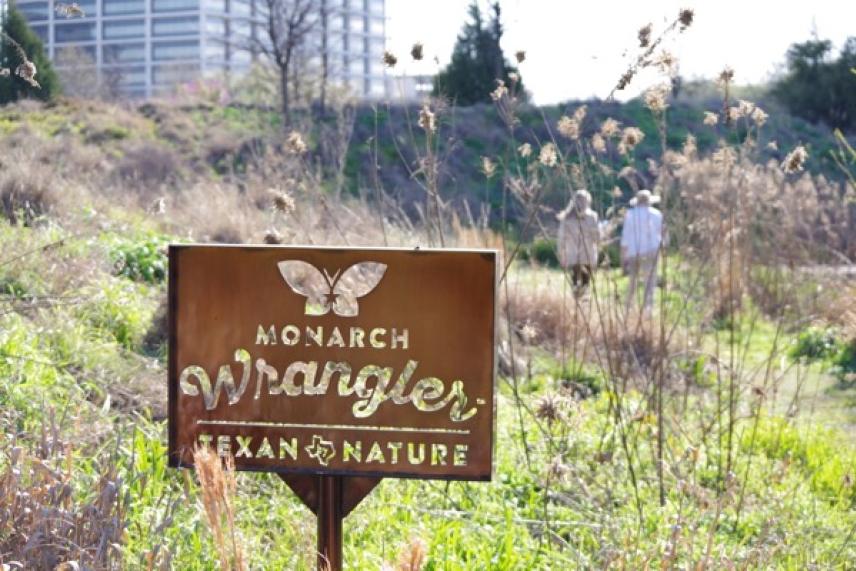 Sign in a natural meadow reads "Monarch Wrangler Texas in Nature."
