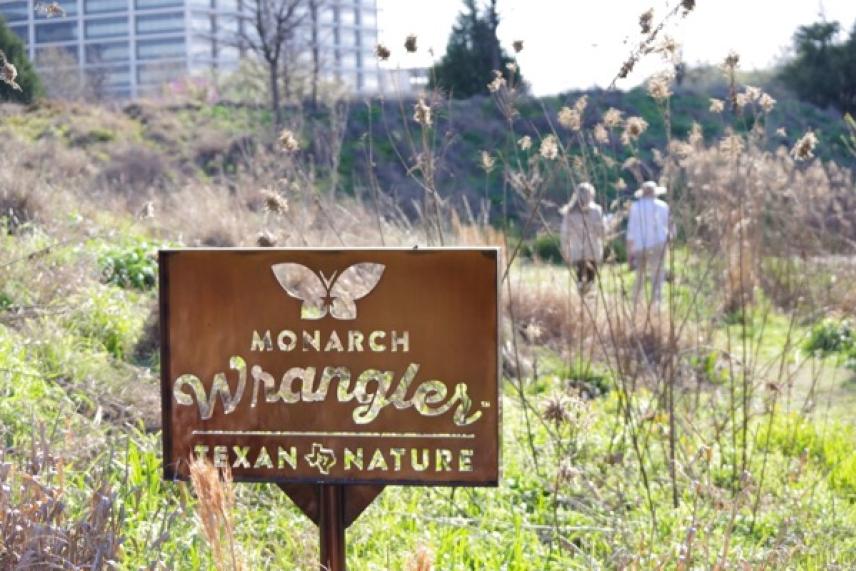 Rustic Monarch Wrangler sign in a grassy field with distant buildings.