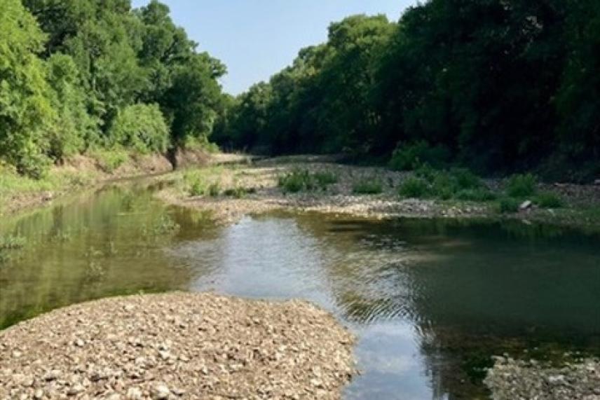 Quiet river surrounded by lush green trees on a sunny day.