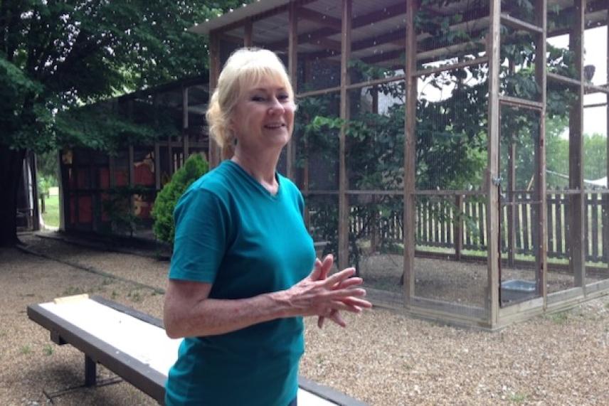 Woman in a teal shirt stands near an outdoor aviary.