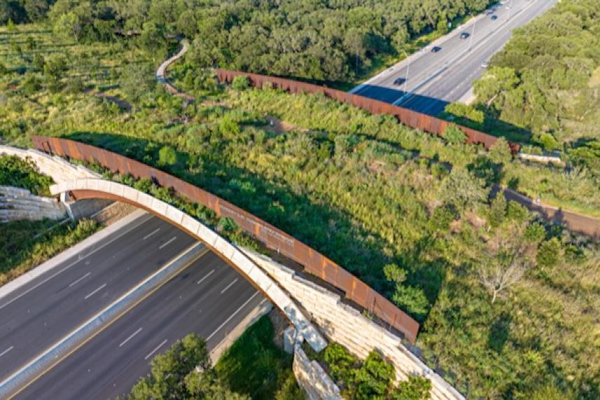 Green wildlife bridge over a highway, surrounded by trees and vegetation.