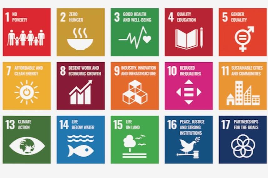 Seventeen colorful UN Sustainable Development Goals squares with icons and numbers.