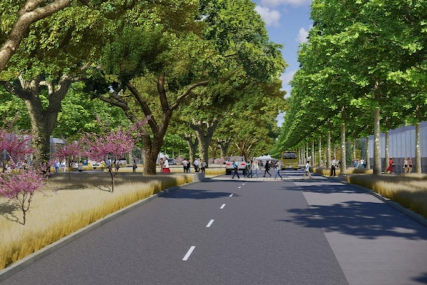 Tree-lined road with people walking, surrounded by greenery and flowers.