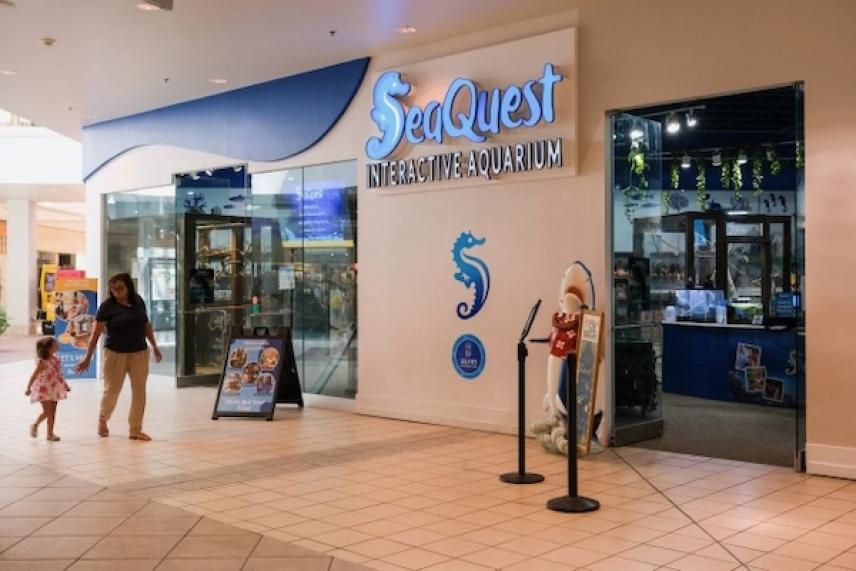 Mall entrance to SeaQuest aquarium with colorful signs and a statue.