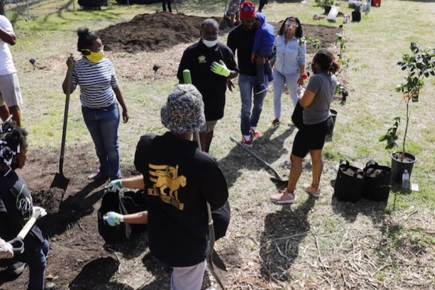Volunteers planting trees in a park, wearing casual clothes and gardening gloves.
