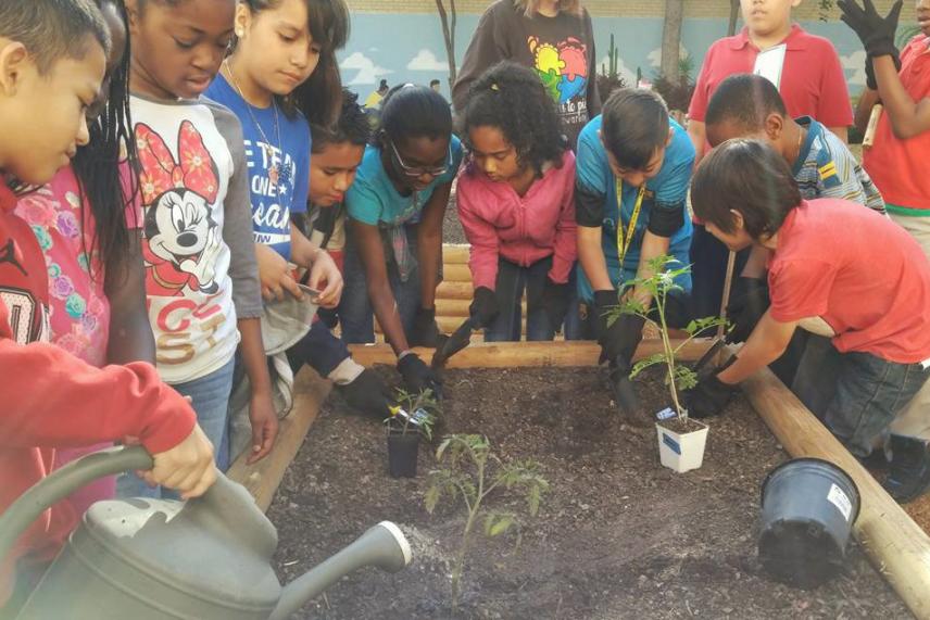 Children planting seedlings in a garden bed.