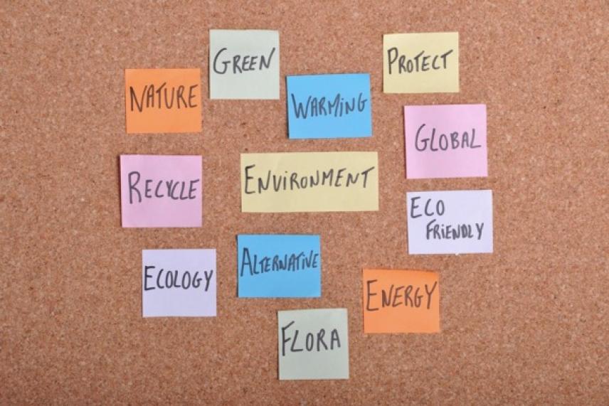 Sticky notes on a corkboard with environmental words.