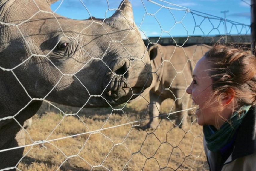 Woman smiling at a rhinoceros through a fence, under a clear blue sky.