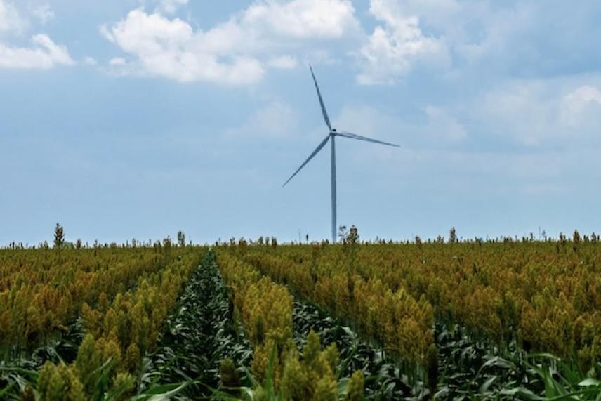 Wind turbine in a field under a cloudy sky.